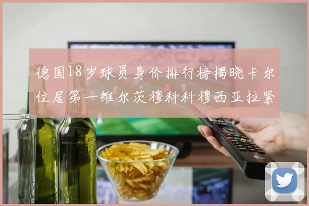 德国18岁球员身价排行榜揭晓卡尔位居第一维尔茨穆科科穆西亚拉紧随其后