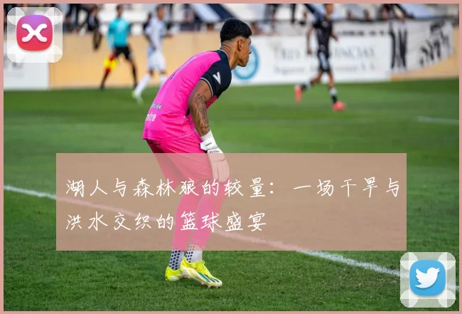 湖人与森林狼的较量：一场干旱与洪水交织的篮球盛宴